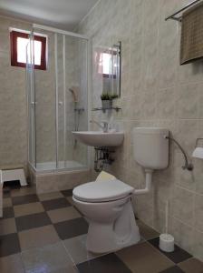 een badkamer met een toilet, een wastafel en een douche bij RP FitLife Stúdió és Vendégház in Szentgál