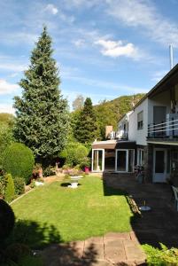 a yard with a large christmas tree in front of a house at Evia Ferienwohnung in Heimbach