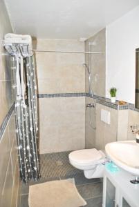 a bathroom with a shower and a toilet and a sink at Evia Ferienwohnung in Heimbach