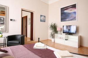 - un salon avec un lit et une télévision dans l'établissement Apartment Karolina, à Prague