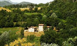 a house in the middle of a field with trees at Agriturismo Paneolio in Villa Collemandina