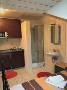 a small bathroom with a sink and a shower at Studentenwohnung in Allensbach