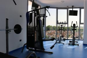 Fitness centrum a/nebo fitness zařízení v ubytování Eraclea Palace Hotel 4 stelle S