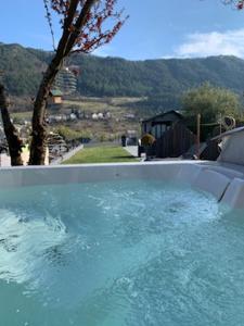 una gran piscina de agua con vistas a la montaña en La Roséa en Mende