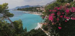 a view of a beach with pink flowers at Sea Paradise in Brela
