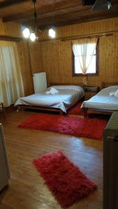 a bedroom with two beds and a red rug at Athamania Artas in Athamanio