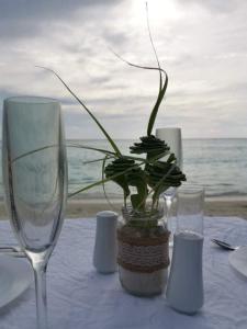 Bevande di Mandhoo Inn
