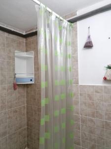 a bathroom with a shower curtain and a microwave at La Foisor in Măldăreşti