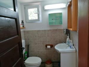 a small bathroom with a toilet and a sink at La Foisor in Măldăreşti