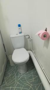 La salle de bains est pourvue de toilettes blanches. dans l'établissement Le FOURNIRUE T2, à Metz