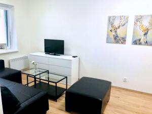 Телевізор і / або розважальний центр в Rezidence pod zámkem Mikulov - apartmán 205 B