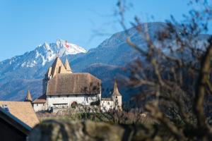 un gran edificio con una montaña en el fondo en Nonanteneuf Appart-hôtel - Aigle, en Aigle