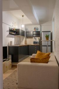 ein Wohnzimmer mit einem Sofa und einer Küche in der Unterkunft Hostel Denica in Skopje