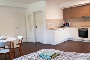 een kamer met een keuken en een tafel en stoelen bij Suite with back garden in Karlsbad
