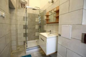 uma casa de banho com um lavatório e um chuveiro em Kamienica Bydgoska 3 em Bydgoszcz