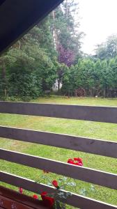 Billede fra billedgalleriet på Dom w Gaju nad jeziorem Dębno i Łąkorz