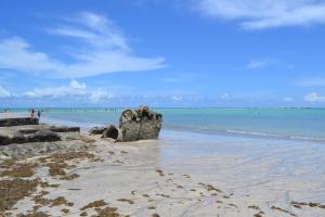 una playa con una formación rocosa en la arena en Casas Maragogi 12, en Maragogi
