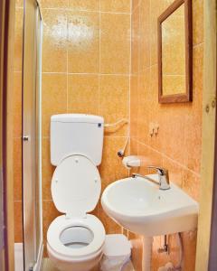 łazienka z toaletą i umywalką w obiekcie Brvnare Spasić w mieście Vinci