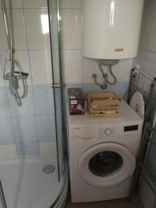 a small bathroom with a washing machine and a shower at Issy View House in Senovo
