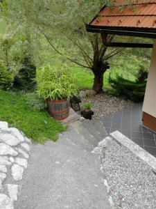 einen Garten mit zwei Topfpflanzen und einem Baum in der Unterkunft Issy View House in Senovo