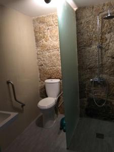 a bathroom with a toilet and a shower at Turismo Rural Macieira Brava in Guarda