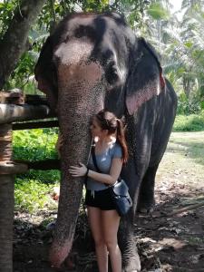 Galeriebild der Unterkunft Rainbow Beach Resort in Ambalangoda