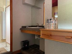 Kuchyň nebo kuchyňský kout v ubytování Hotel Alameda + 33 fotografií