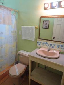 a bathroom with a sink and a toilet and a mirror at La Posada de Juan B&B in Santa Rosa de Copán