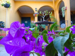 Κήπος έξω από το La Posada de Juan B&B