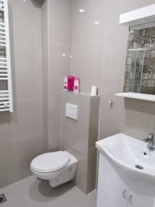 a white bathroom with a toilet and a sink at Apartman Mila, Banja Koviljača in Banja Koviljača