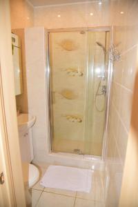 a bathroom with a shower and a toilet and a sink at Center of Odessa. Comfortable 2 rooms apartment in Odesa