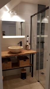 a bathroom with a sink and a glass shower at Maison au calme en campagne climatisée in Caderousse