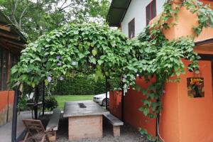 Zahrada ubytování FINCA YULUKA