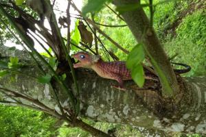 Fotografie z fotogalerie ubytování FINCA YULUKA v destinaci Apulo