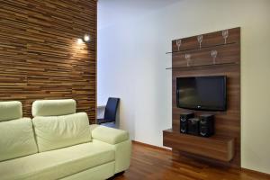 Televízia a/alebo spoločenská miestnosť v ubytovaní Apartmány Čeladná