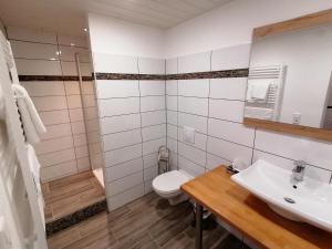 ein Bad mit einem WC und einem Waschbecken in der Unterkunft Landhotel Adler in Selters