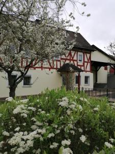 una casa roja y blanca con un árbol y flores blancas en Landhotel Adler, en Selters