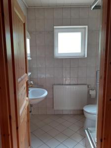 a bathroom with a sink and a toilet and a window at Ferienhaus Grabs in Lichtenhain +10 photos