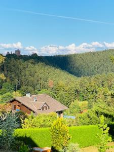 una casa in mezzo a una collina con alberi di L’hippocampe a Wangenbourg