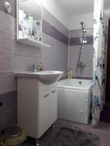 ein Bad mit einem Waschbecken und einem WC in der Unterkunft Casa Corina in Călimăneşti