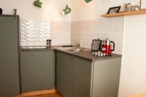 uma pequena cozinha com um lavatório e um balcão em Ferienwohnung Marion em Oberwesel