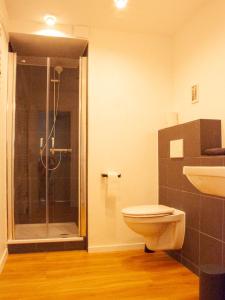 La salle de bains est pourvue d'une douche, de toilettes et d'un lavabo. dans l'établissement Ferienwohnung Marion, à Oberwesel
