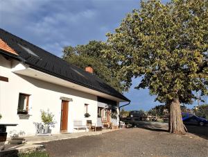 Ein weißes Haus mit einem Baum daneben. in der Unterkunft Čenovický dvůr in Čestín