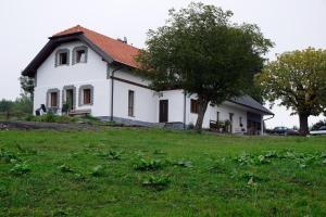 Zahrada ubytování Čenovický dvůr