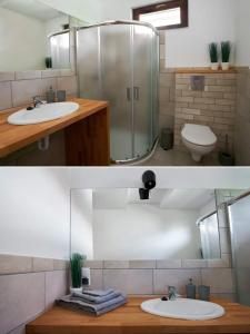 a bathroom with a sink and a shower and a toilet at Sosnowy Domek Krasnobród in Krasnobród