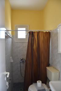 a bathroom with a shower curtain and a toilet at Lofos Studios in Agios Prokopios