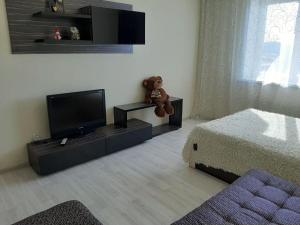 - un salon avec une télévision et un ours en peluche assis sur une table dans l'établissement Apartment on Aviatorov 23, à Krasnoïarsk