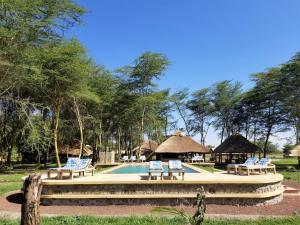 Africa Safari Lake Manyara located inside a wildlife park游泳池或附近泳池