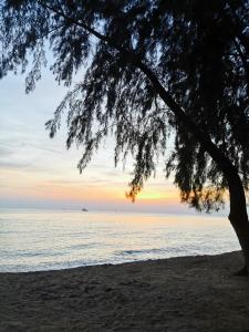 ein Baum am Strand mit Sonnenuntergang im Hintergrund in der Unterkunft Riviera Bay Condominium, Tanjung Kling in Kampong Lereh