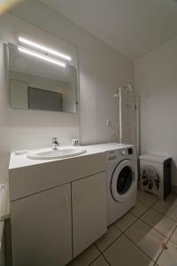 uma casa de banho com um lavatório e uma máquina de lavar roupa em Le cocon d'Eloïse em Verdun-sur-Meuse